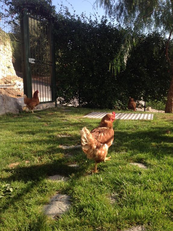 بورديغيرا Agriturismo Da Lui المظهر الخارجي الصورة