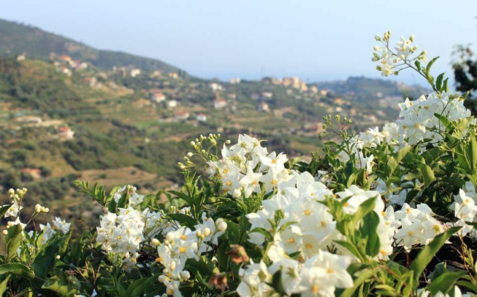 بورديغيرا Agriturismo Da Lui المظهر الخارجي الصورة